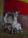 PIC_0094.JPG